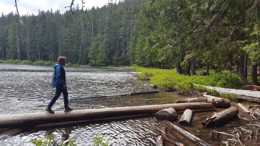 I'm walking on a log that's ashore a lake.